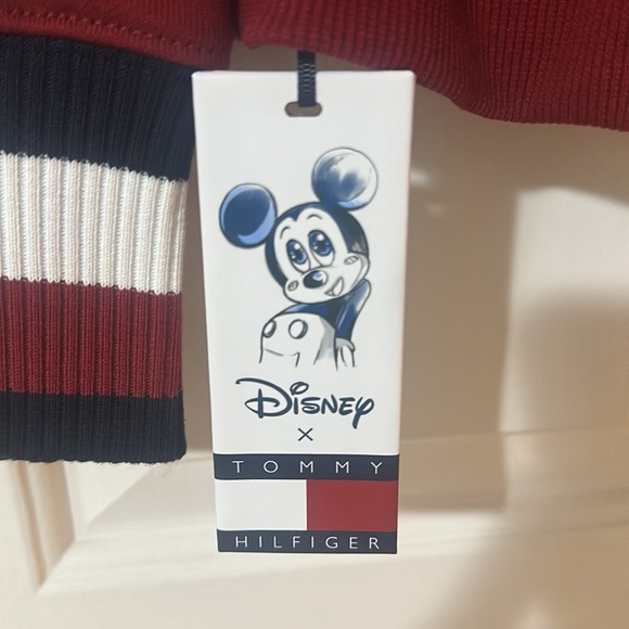 Tommy Hilfiger Sweatshirt (Disney 100 Years of Wonder)- Large, New - Picture 8 of 9